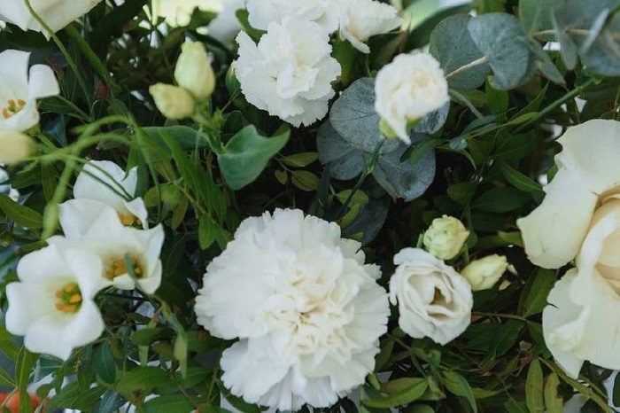flowers
